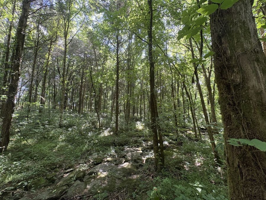 Property Image 21