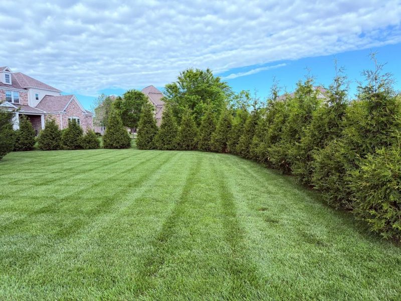 6537 Martindill Way, Mason, OH 45040 Photo 6