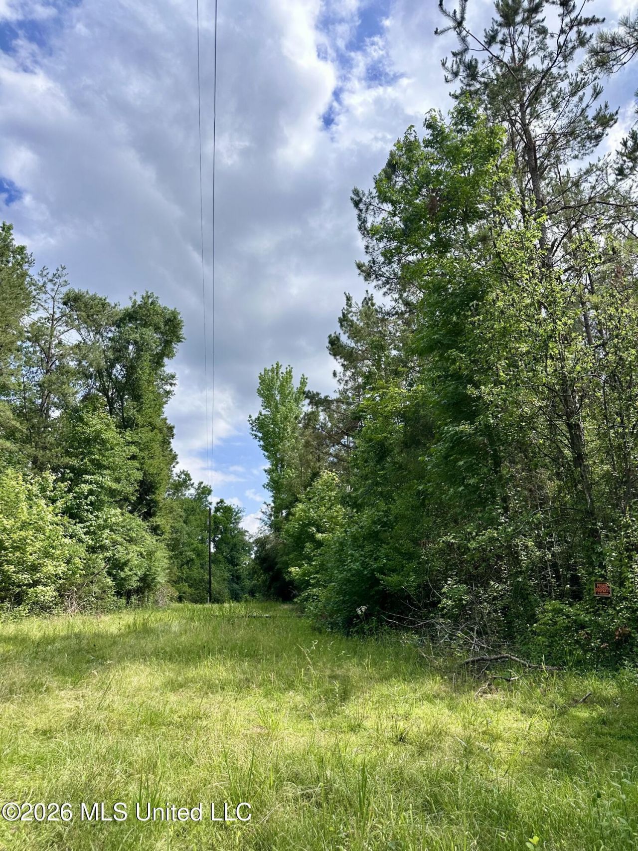 Owens Cut-off Road, Durant, MS 39063 Main Photo
