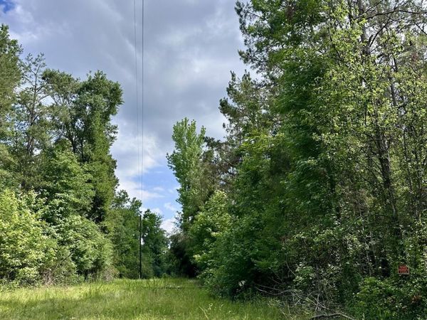 Owens Cut-off Road, Durant, MS 39063