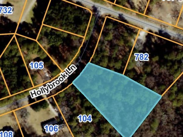 102 Hollybrook Lane , Dudley, NC 28333