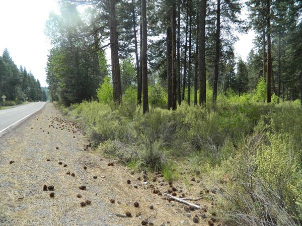 3000 Hwy 422 N, Unit 3000, Chiloquin, OR 97624