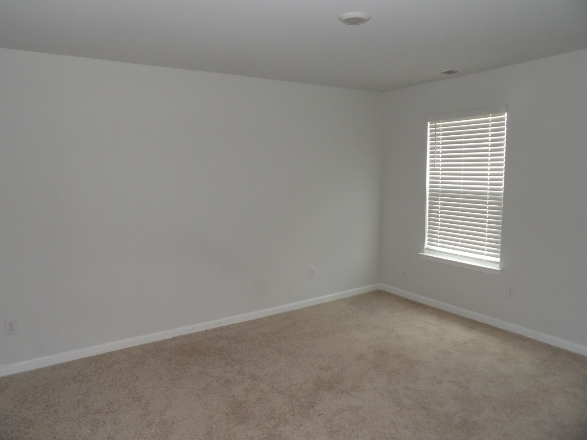 409 Cedarview Road Photo 13