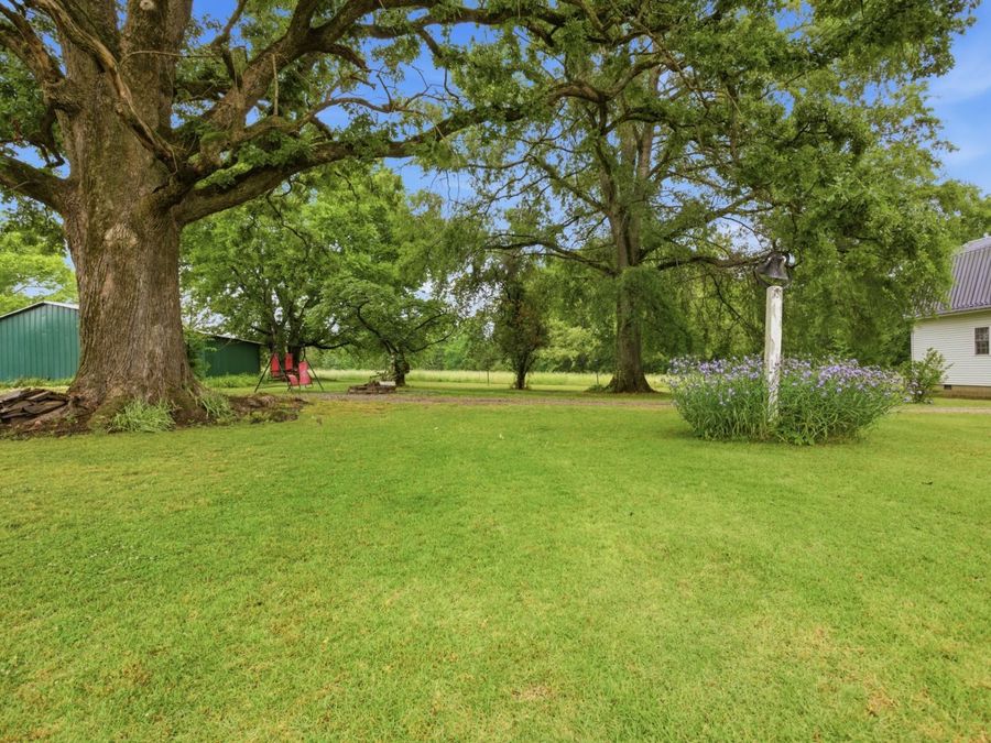 Property Image 44
