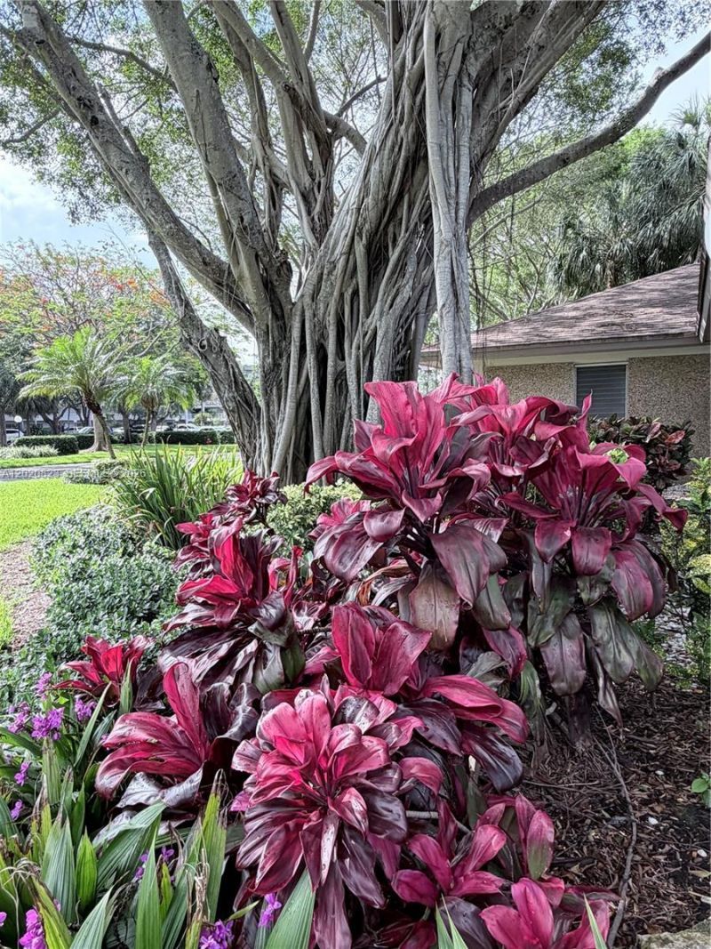 605 Oaks Dr , Unit 307, Pompano Beach, FL 33069 Photo