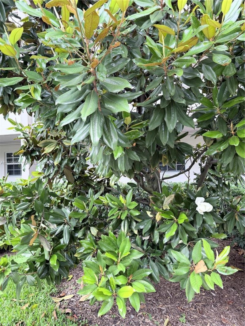 605 Oaks Dr , Unit 307, Pompano Beach, FL 33069 Photo