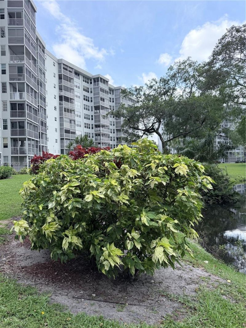 605 Oaks Dr , Unit 307, Pompano Beach, FL 33069 Photo