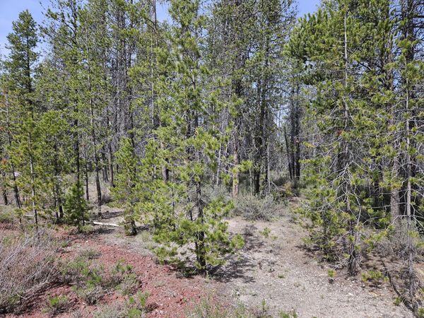 0 Scott View Drive, Unit 7, Chiloquin, OR 97624