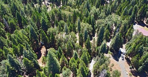 740 Hide Away Loop, Alta, CA 95701 Photo