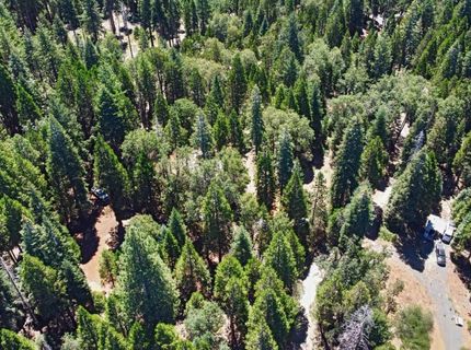 740 Hide Away Loop, Alta, CA 95701 Photo
