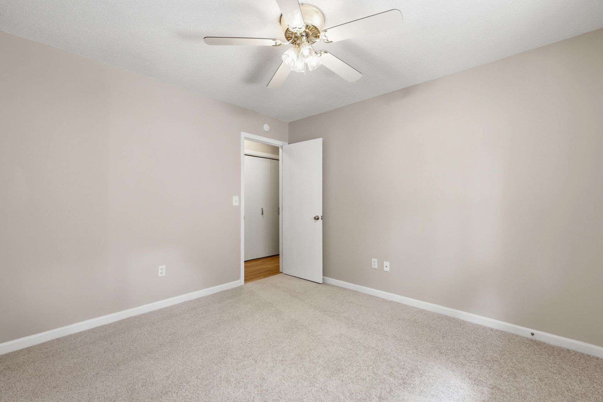 307 Canaberry Circle Photo 15