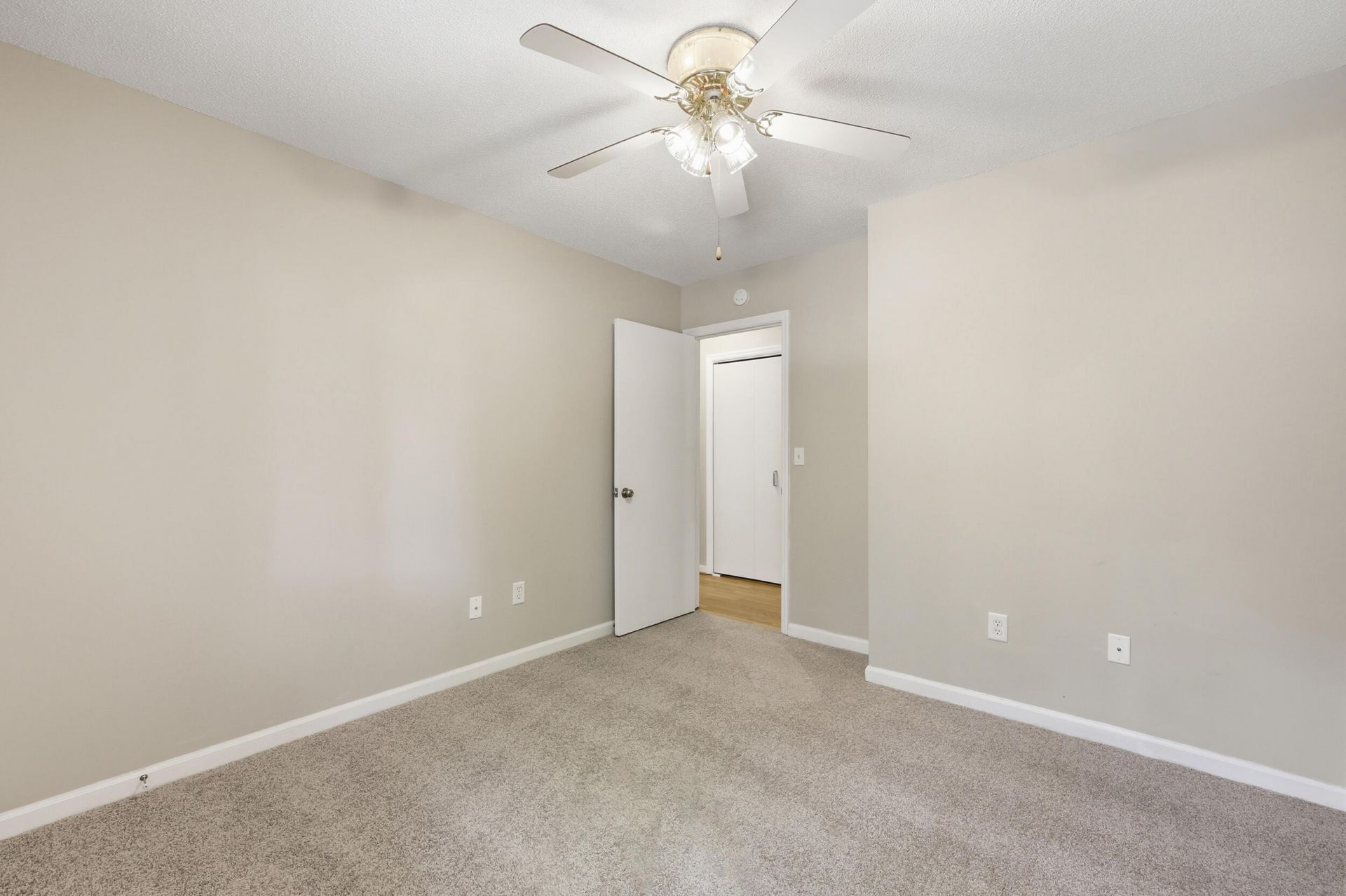 307 Canaberry Circle Photo 17