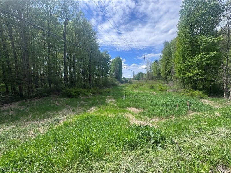V-L Parkman Road, Windham, OH 44288 Photo 4