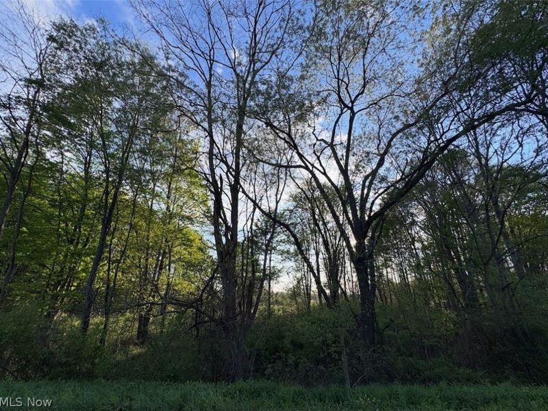 V-L Parkman Road, Windham, OH 44288 Photo 7