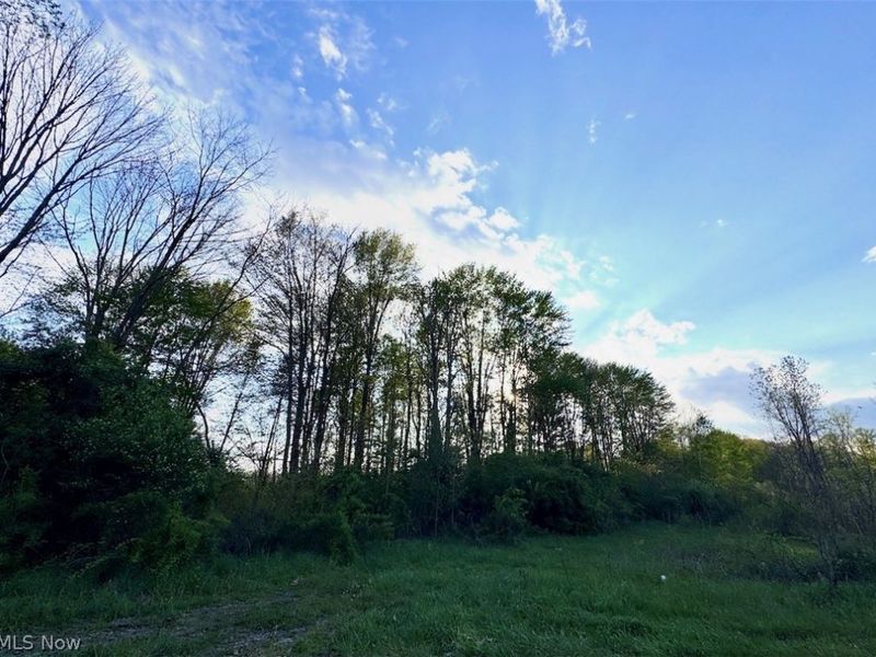 V-L Parkman Road, Windham, OH 44288 Photo 8