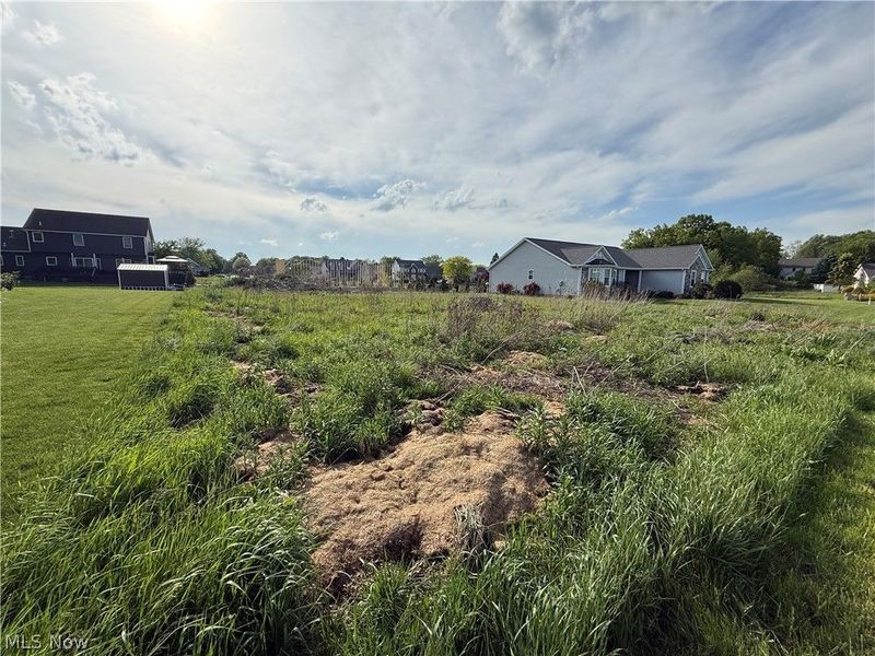 20 Oakview Crossing, Canfield, OH 44406 Photo 2