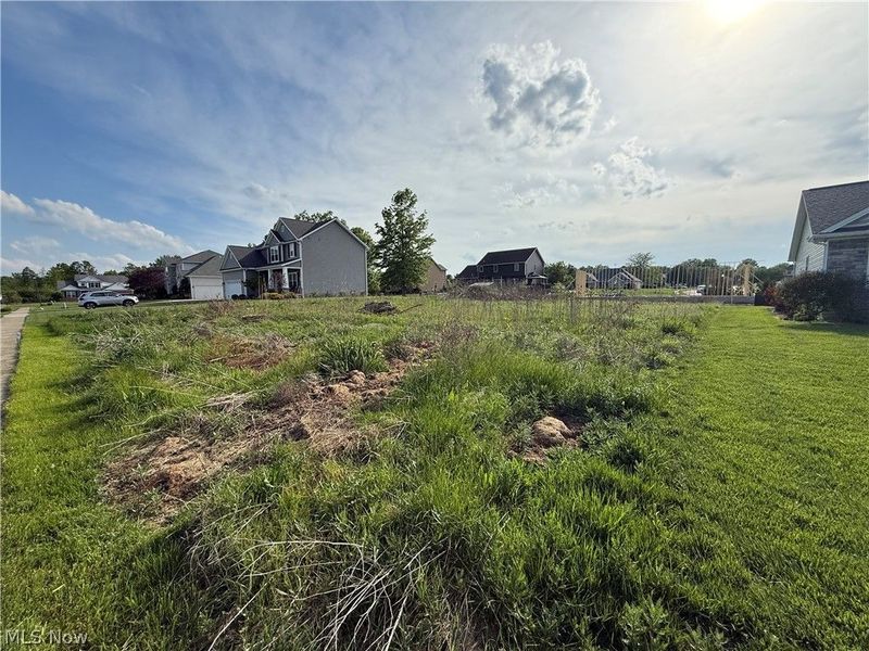 20 Oakview Crossing, Canfield, OH 44406 Photo 3