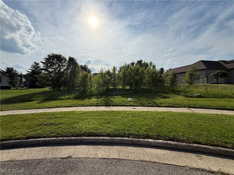 40 Woodland Run, Canfield, OH 44406 Photo 1
