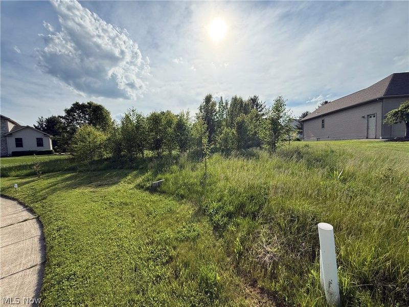 40 Woodland Run, Canfield, OH 44406 Photo 2