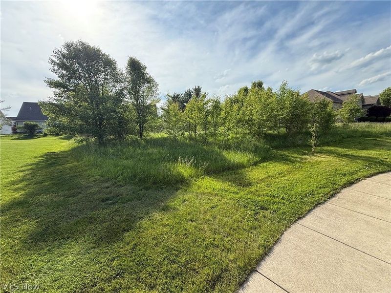 40 Woodland Run, Canfield, OH 44406 Photo 3