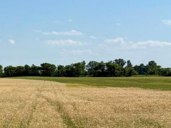 0 S Highway BB, East Prairie, MO 63845
