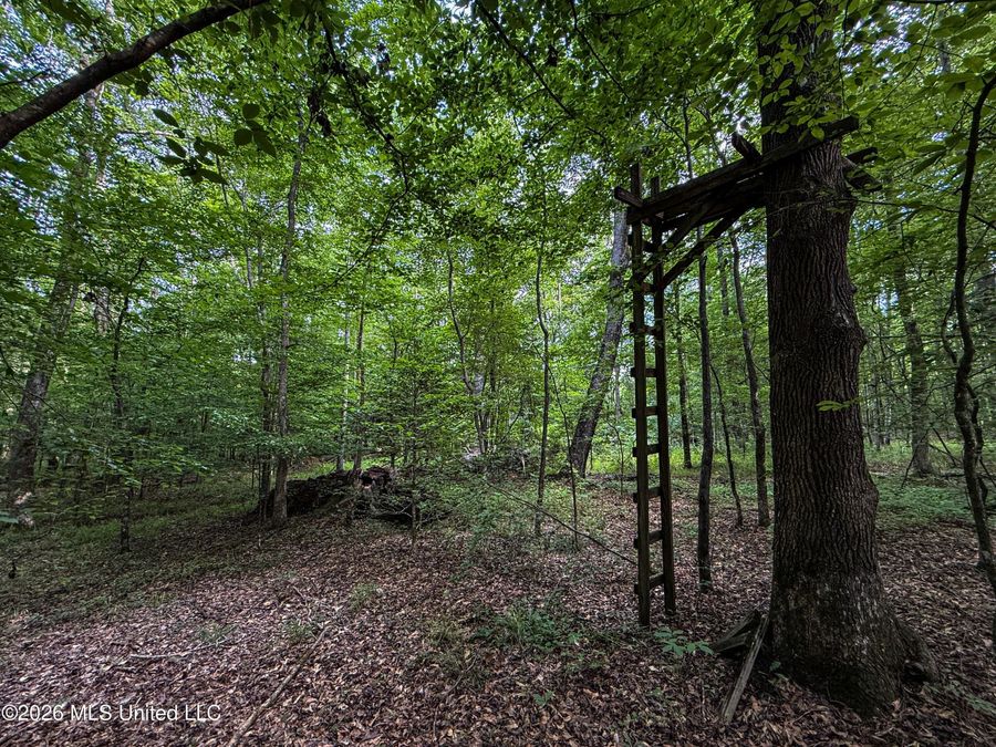 Property Image 63