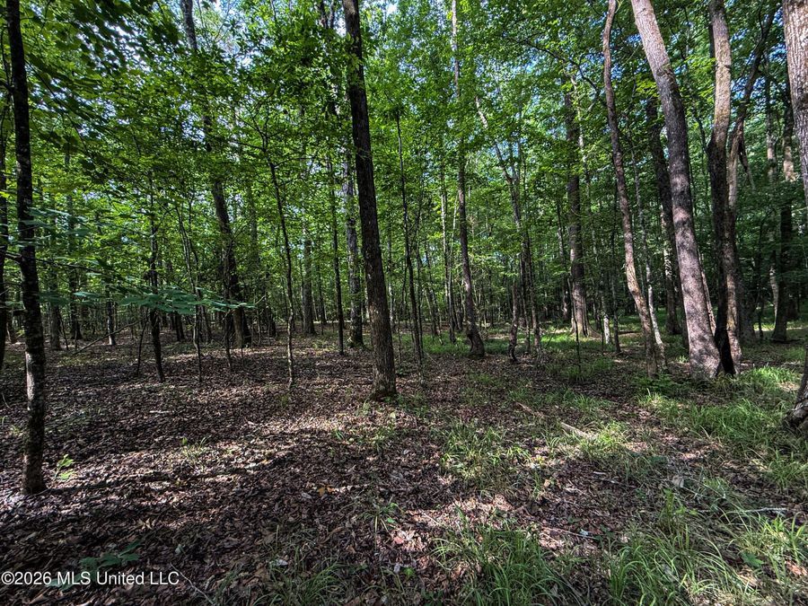 Property Image 65