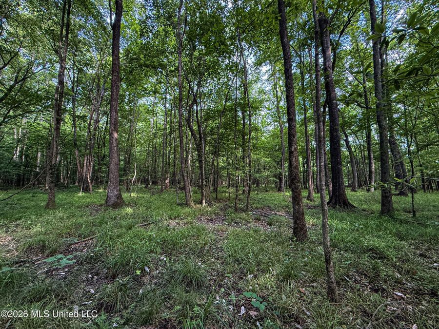 Property Image 69
