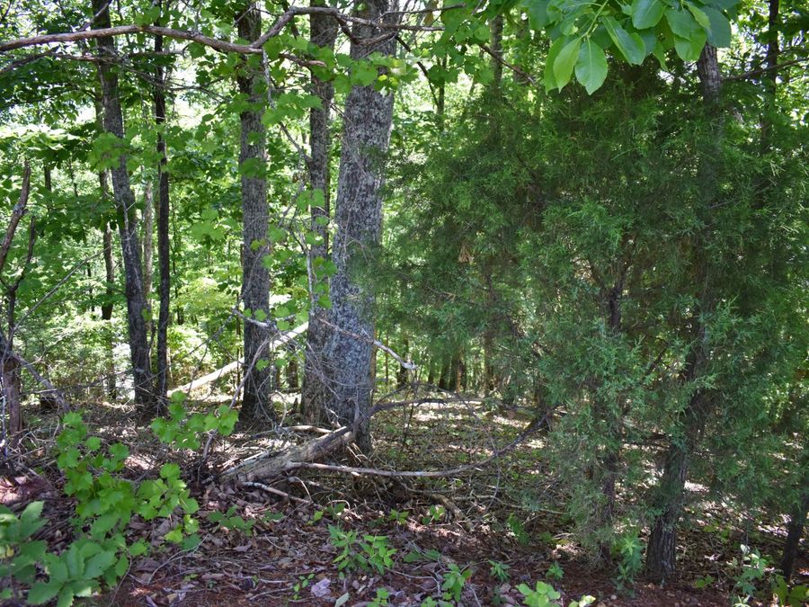 Property Image 18