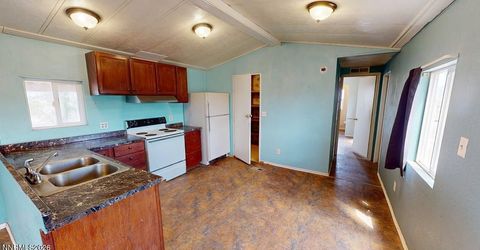 3435 John Tyler Avenue, Battle Mountain, NV 89820 Photo