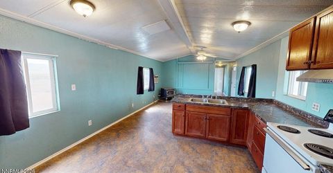 3435 John Tyler Avenue, Battle Mountain, NV 89820 Photo