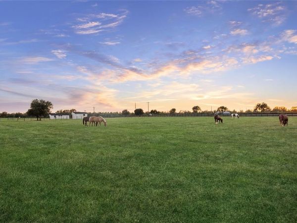 40570 Wild life Run, Hempstead, TX 77445