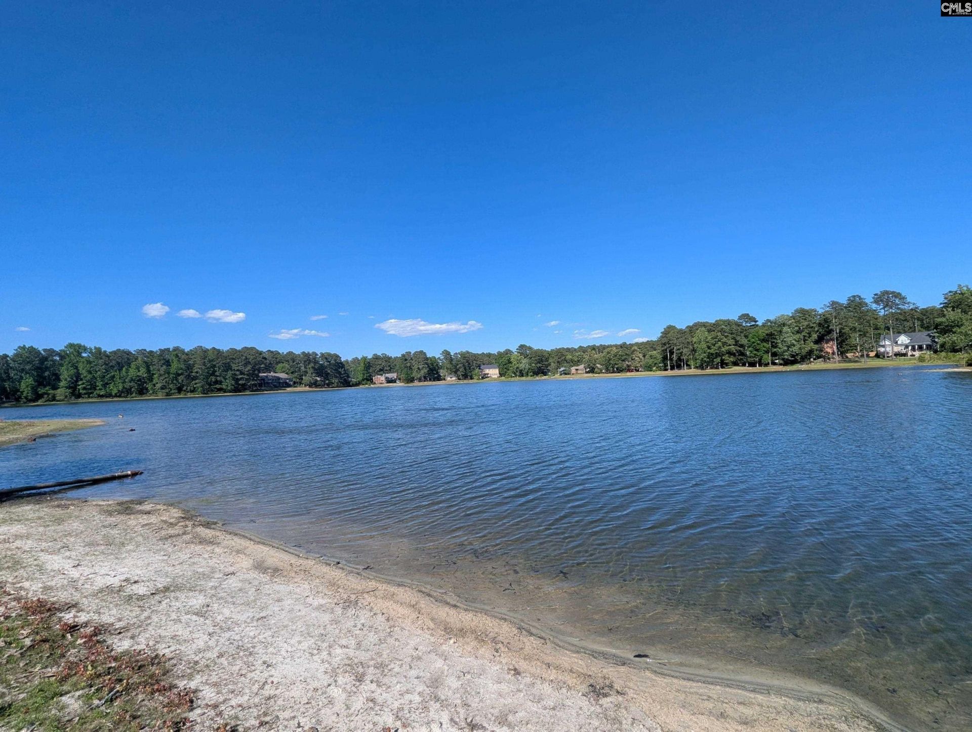 309 E Park Shore Drive  Photo 47