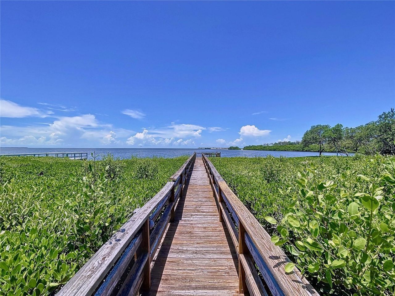 511 Seaview Drive, Tarpon Springs, FL 34689 Photo