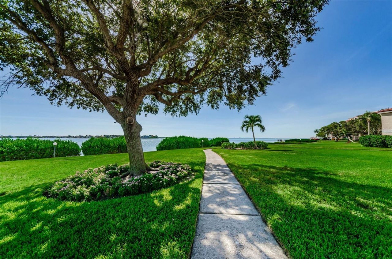 6158 Palma Del Mar Boulevard S, Unit 305, Saint Petersburg, FL 33715 Photo