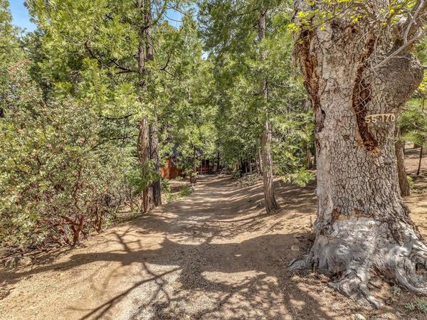 55170 Daryll Road, Idyllwild, CA 92549