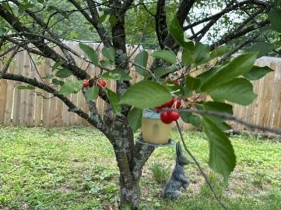 Property Image 29