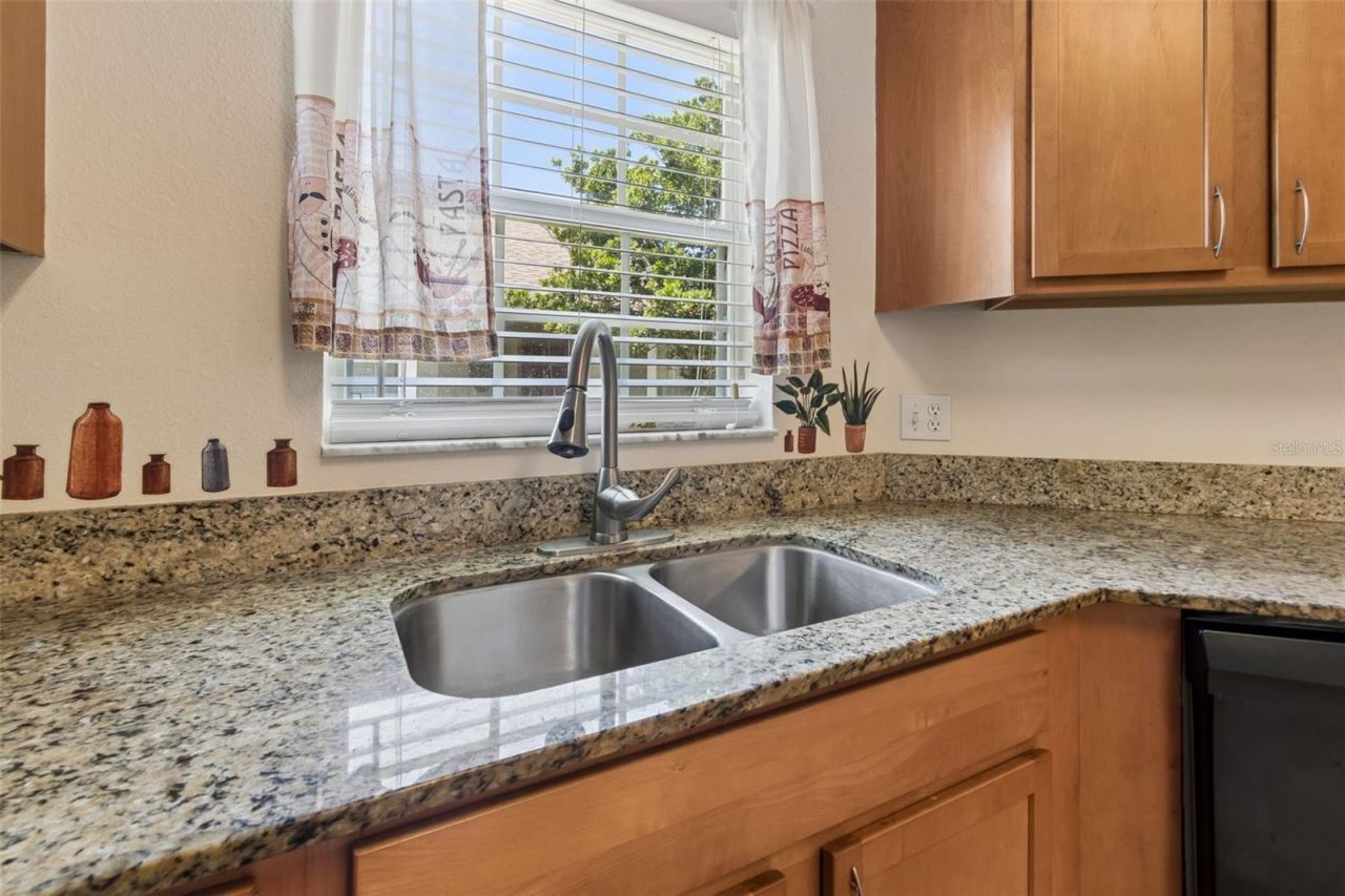4329 Ashton Meadows Way, Wesley Chapel, FL 33543 Photo