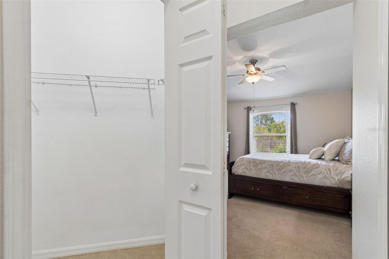 4329 Ashton Meadows Way, Wesley Chapel, FL 33543 Photo
