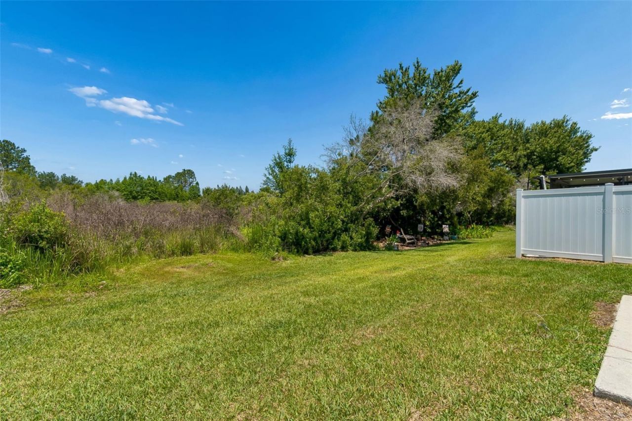 4329 Ashton Meadows Way, Wesley Chapel, FL 33543 Photo