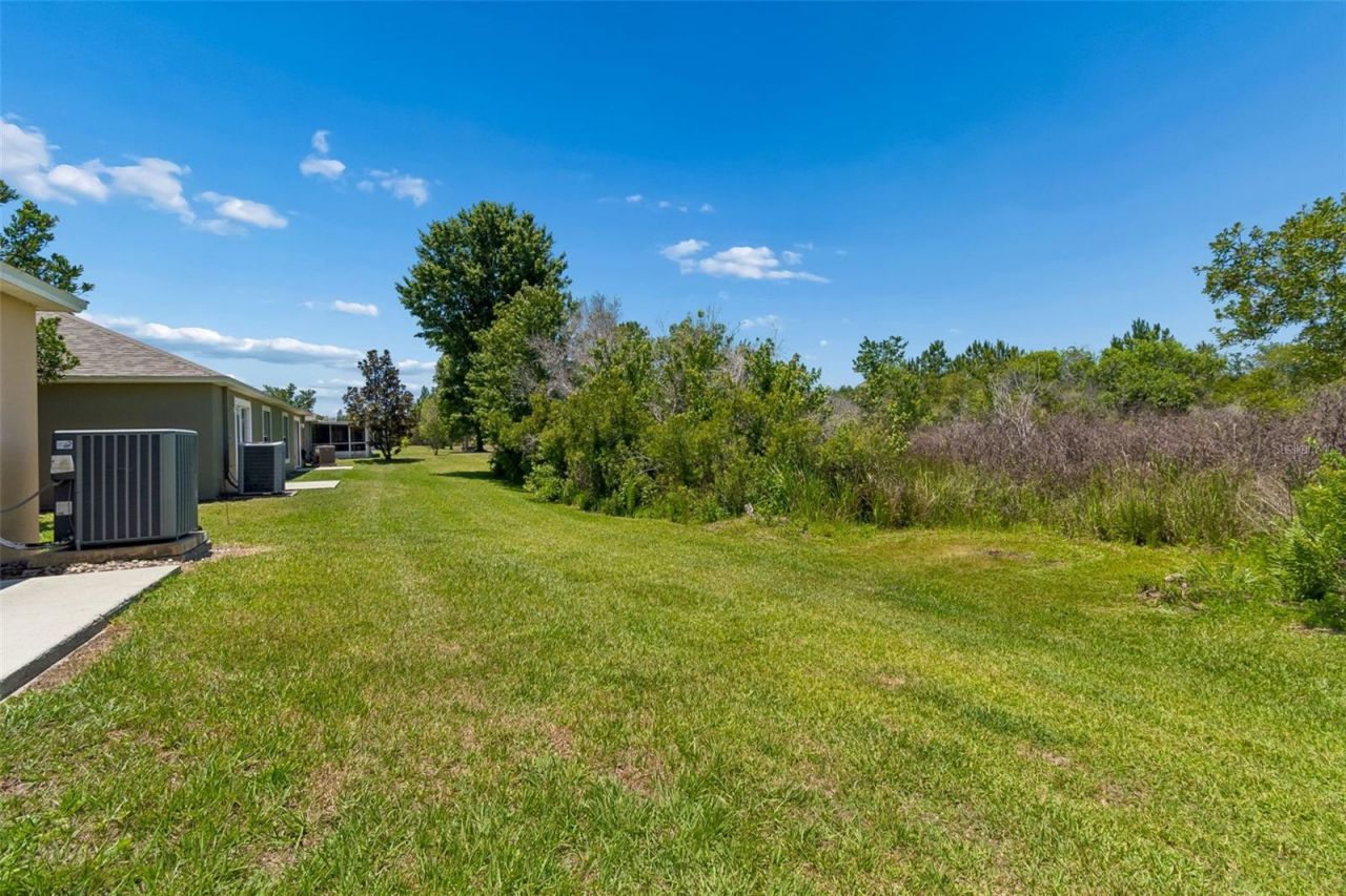 4329 Ashton Meadows Way, Wesley Chapel, FL 33543 Photo