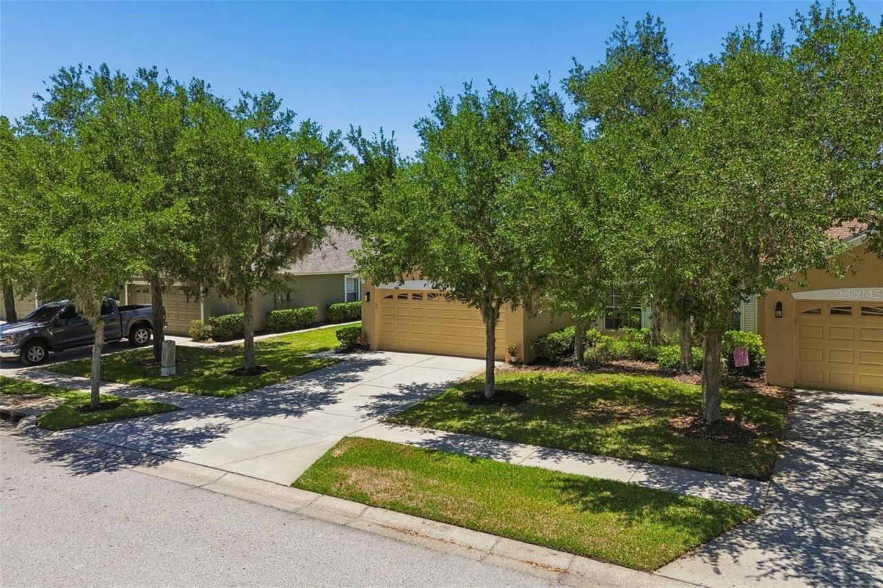 4329 Ashton Meadows Way, Wesley Chapel, FL 33543 Photo