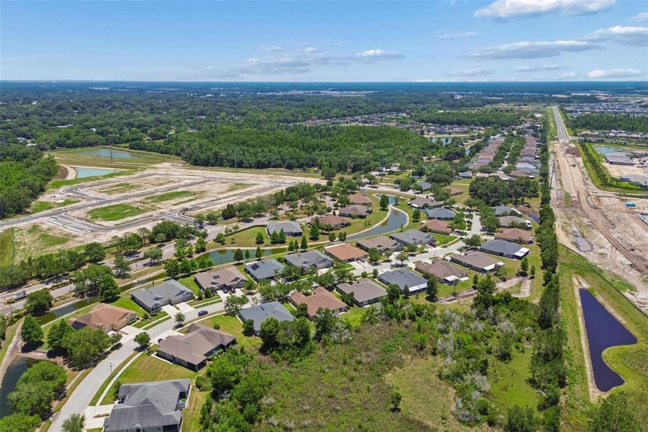 4329 Ashton Meadows Way, Wesley Chapel, FL 33543 Photo