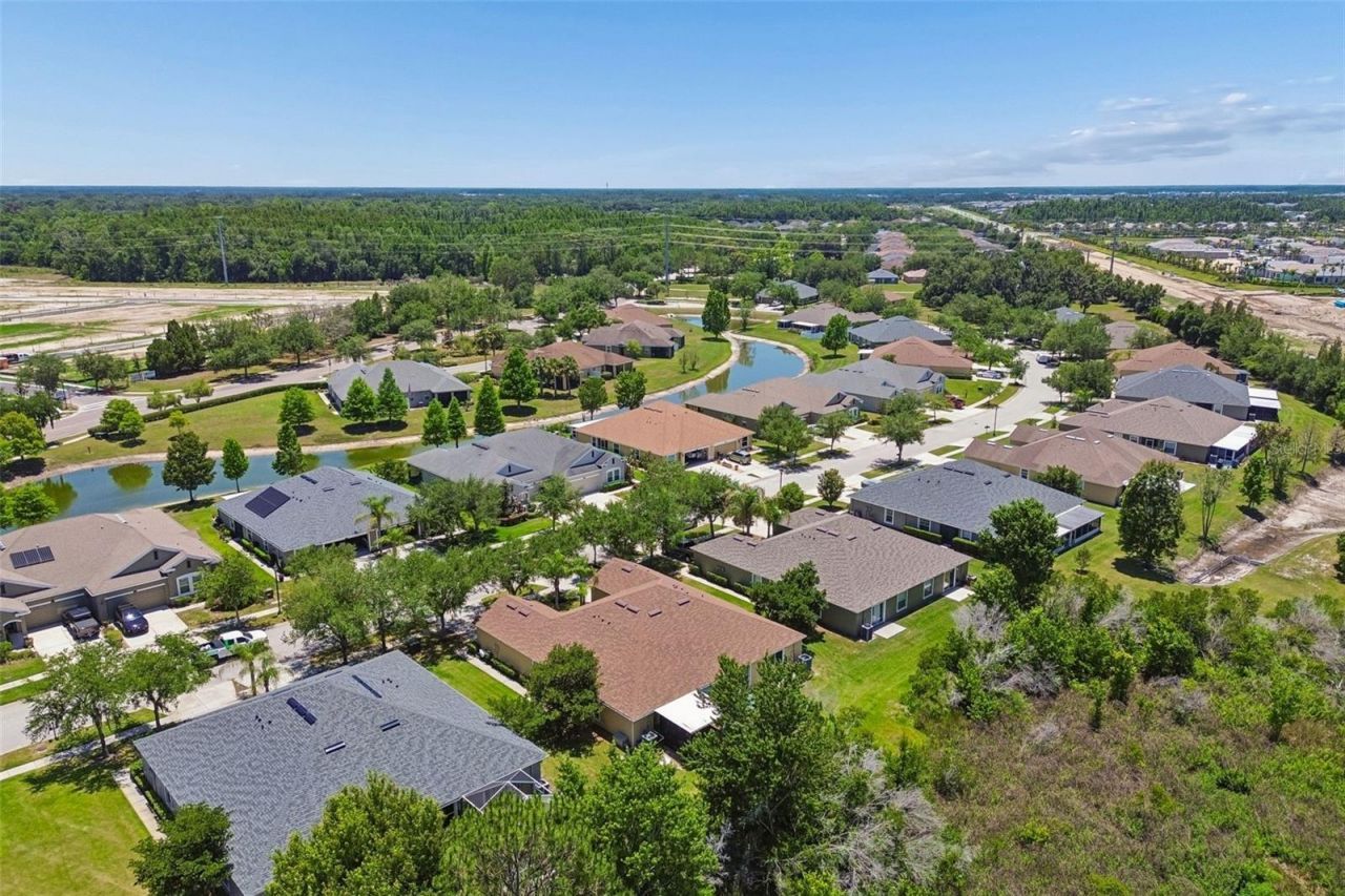 4329 Ashton Meadows Way, Wesley Chapel, FL 33543 Photo
