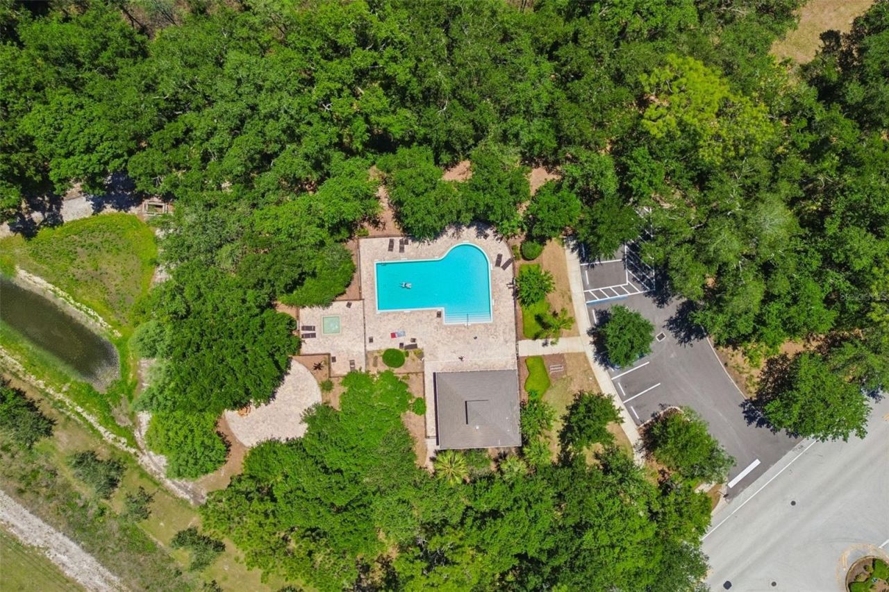 4329 Ashton Meadows Way, Wesley Chapel, FL 33543 Photo