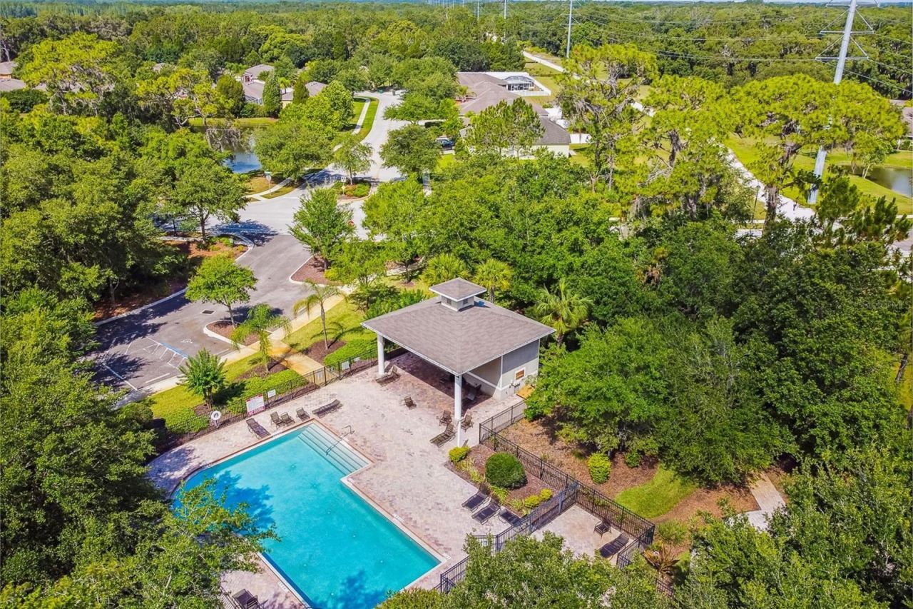 4329 Ashton Meadows Way, Wesley Chapel, FL 33543 Photo