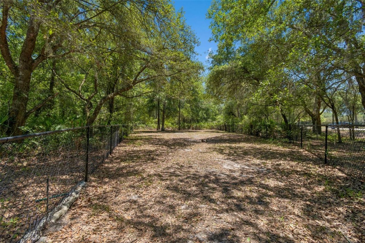 4329 Ashton Meadows Way, Wesley Chapel, FL 33543 Photo