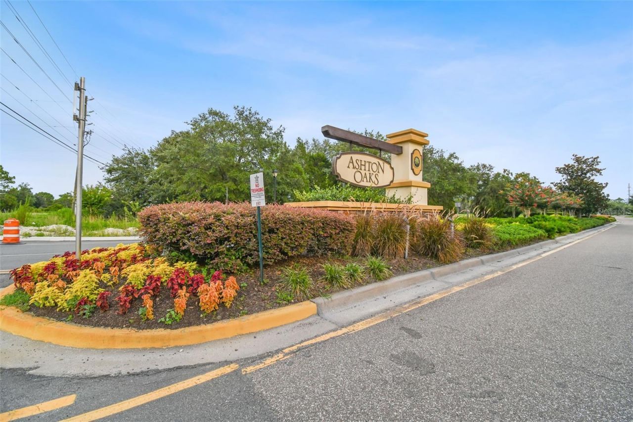 4329 Ashton Meadows Way, Wesley Chapel, FL 33543 Photo