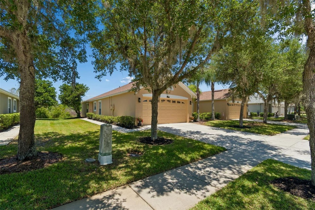 4329 Ashton Meadows Way, Wesley Chapel, FL 33543 Photo