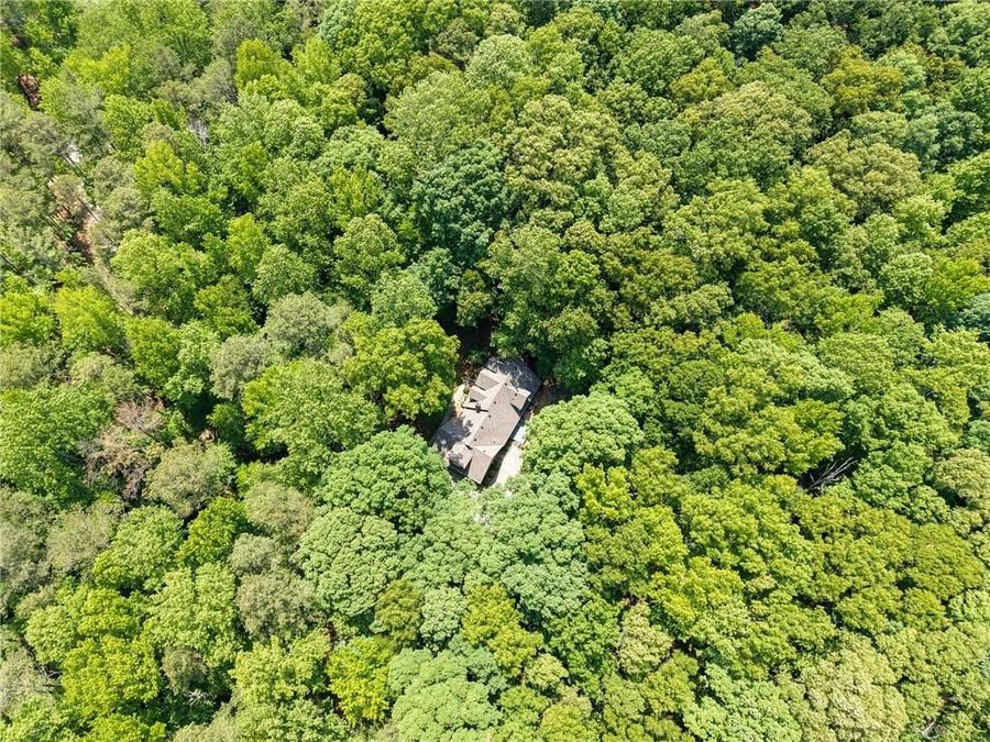 Property Image 53